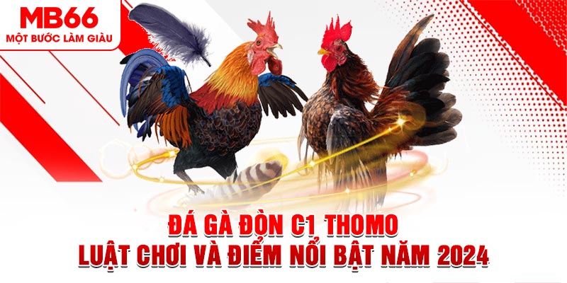 Đá Gà Đòn C1 Thomo - Luật Chơi Và Điểm Nổi Bật Năm 2024